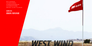 新规下的修养：如何从“钓鱼人”升级为“垂钓者”？