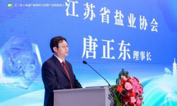 长三角工业副产盐利用与管理产业联盟成立大会在南京成功举行！