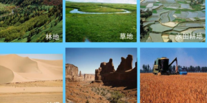 河北省积极推进农村土地资源科学统筹，助力乡村振兴